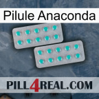 Anaconda Pill 29